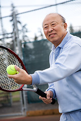 Image showing Senior tennis player