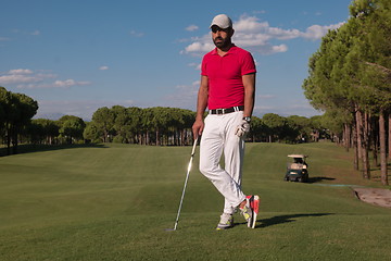 Image showing golf player portrait