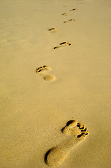 Image showing Footprint in sand on beach