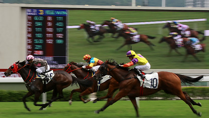 Image showing Horse Racing