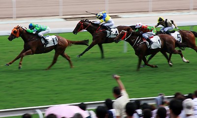 Image showing Horse Racing