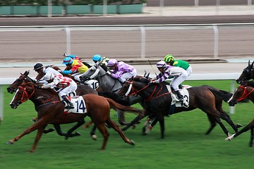 Image showing Horse Racing