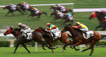 Image showing Horse Racing