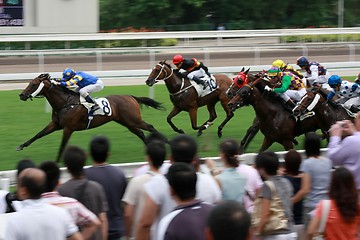 Image showing Horse Racing