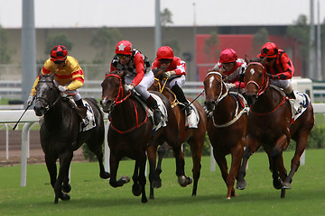 Image showing Horse Racing