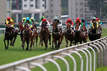 Image showing Horse Racing