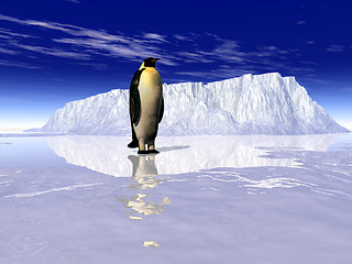 Image showing Penguins 1