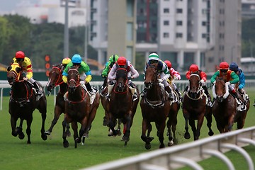 Image showing Horse Racing