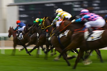 Image showing Horse Racing