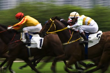 Image showing Horse Racing