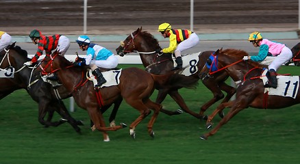 Image showing Horse Racing