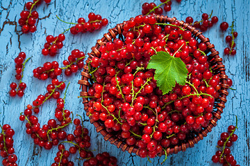 Image showing Redcurrant in wicker bowl on the table