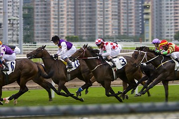 Image showing Horse Racing