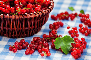 Image showing Redcurrant in wicker bowl on the table