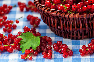 Image showing Redcurrant in wicker bowl on the table