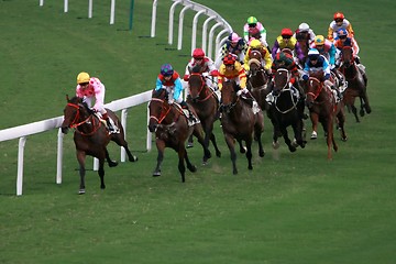 Image showing Horse Racing