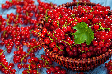 Image showing Redcurrant in wicker bowl on the table