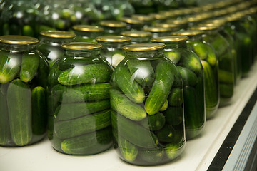 Image showing gurtsov conservation. Fresh cucumbers in jars