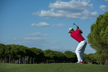 Image showing golf player hitting long shot