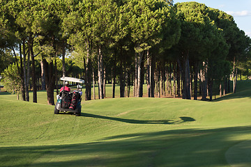 Image showing couple in buggy on golf course