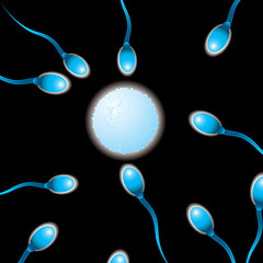 Image showing sperm n egg