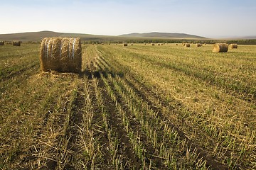 Image showing Hay Bale