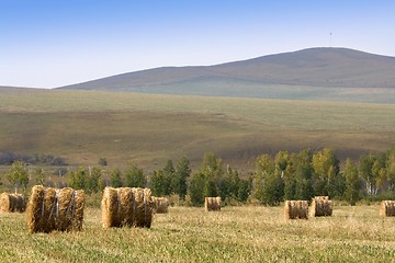 Image showing Hay Bale