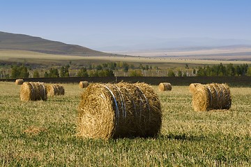 Image showing Hay Bale