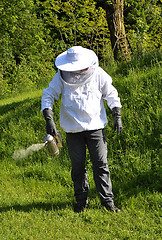 Image showing Bee Keeper