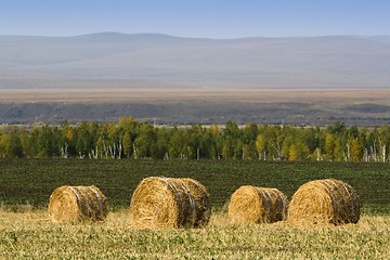 Image showing Hay Bale