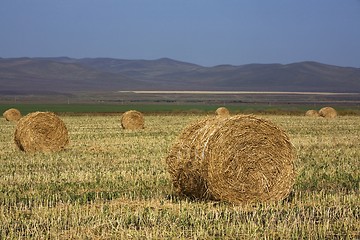 Image showing Hay Bale