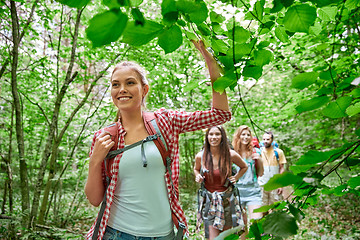 Image showing group of smiling friends with backpacks hiking