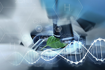 Image showing close up of hand with microscope and green leaf