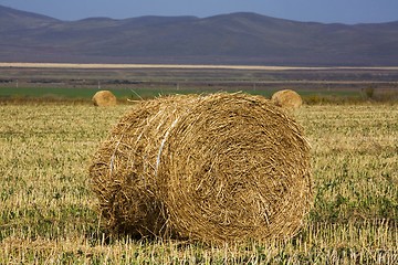 Image showing Hay Bale