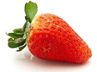 Image showing Garden Strawberry