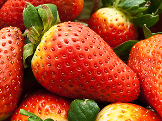 Image showing Strawberries