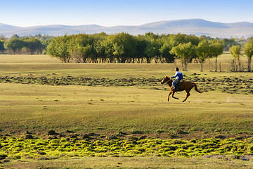 Image showing Horse Riding At The Grassland