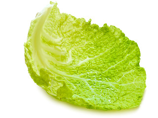 Image showing Cabbage Leaf