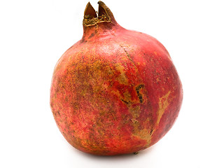 Image showing Pomegranate