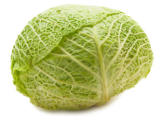 Image showing White Cabbage