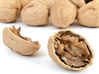 Image showing Walnuts