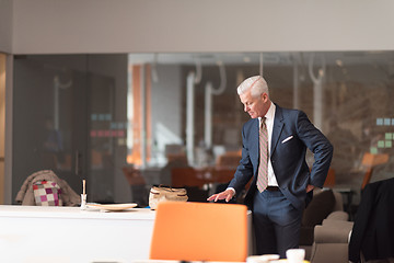 Image showing senior business man reading reports