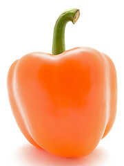 Image showing Paprika