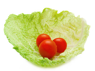 Image showing Tomatoes in Cabbage Leaf