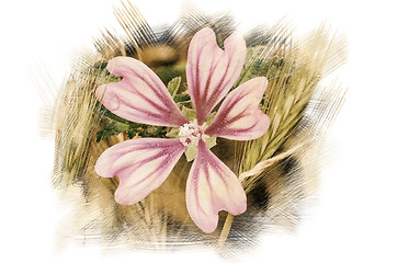 Image showing Flower among the Wheat