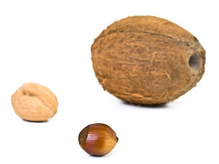 Image showing Nuts