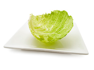Image showing Cabbage Leaf
