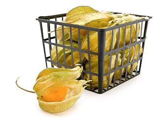 Image showing Physalis