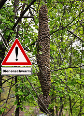 Image showing Swarm of bees attention sign