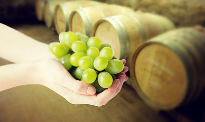 Image showing close up of woman hands holding green grape bunch